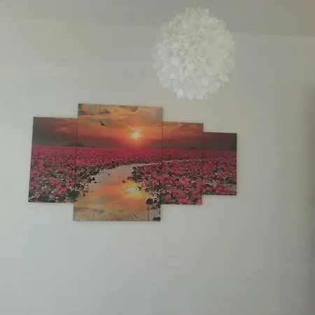 Caly Dom Do Dyzpozycji Boszkowo