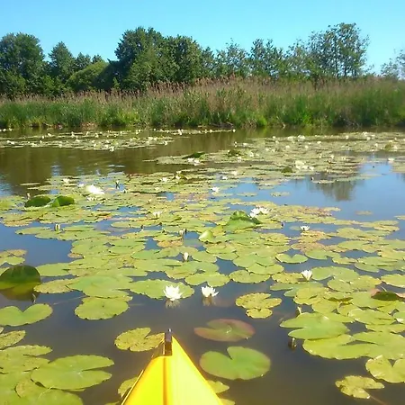 Cały Dom Do Dyzpozycji *