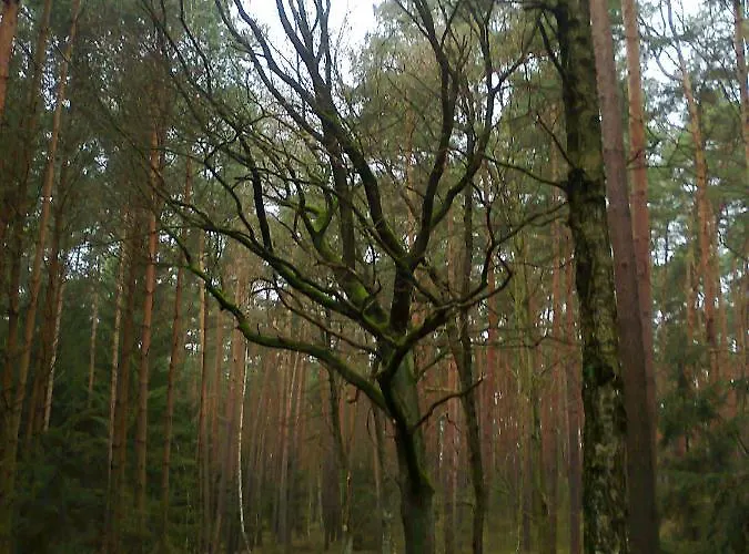 Διαμέρισμα Caly Dom Do Dyzpozycji *